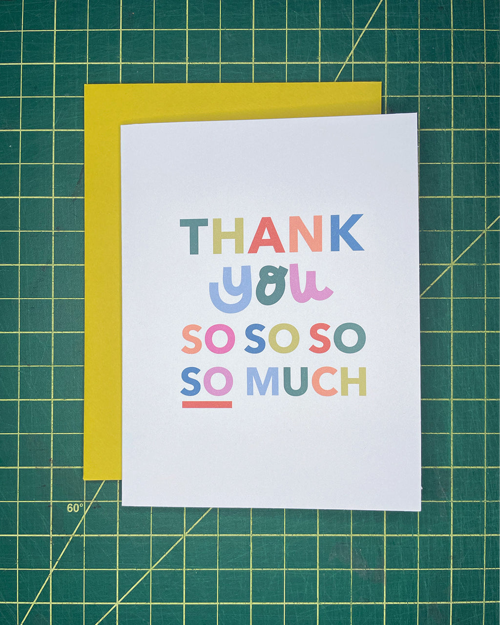 Thank You SO Much Greeting Card